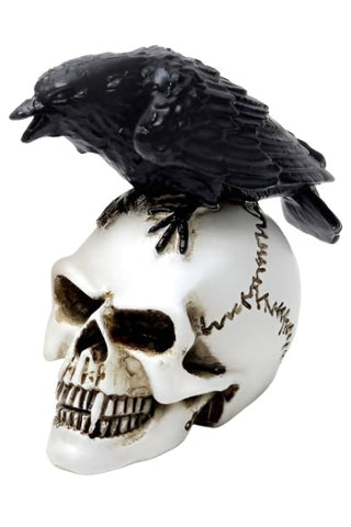 Alchemy Raven Skull Miniture | Angel Clothing