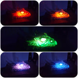 Lumo Lumiescent Dragon Skull with LED Lights | Angel Clothing