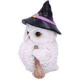 Snowy Magic Witch Owl | Angel Clothing