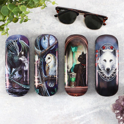 Fantasy Art Glasses Cases