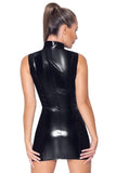Black Level Mesh and Vinyl Dress (M, L)