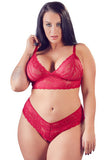 Cottell Curves Red Bra and Briefs (XL) | Angel Clothing