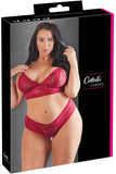 Cottell Curves Red Bra and Briefs (XL) | Angel Clothing