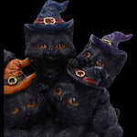 Familiar Friends Witchy Black Cats | Angel Clothing