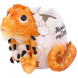 Home is Where My Dragon is Pot