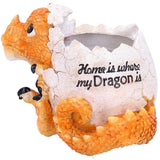 Home is Where My Dragon is Pot