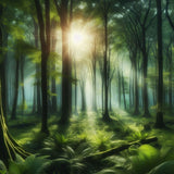 Oakhart The Sunlit Grove Print Framed | Angel Clothing