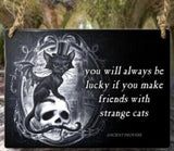 Alchemy Strange Cats Meowstophelex Plaque | Angel Clothing