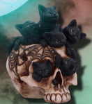 Cranial Litter Skull | Angel Clothing
