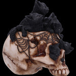 Cranial Litter Skull | Angel Clothing