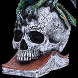 Ignisars Rule Dragon Figurine | Angel Clothing