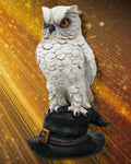 Soren Owl on Hat | Angel Clothing
