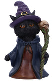 Whiskered Wizard Black Cat | Angel Clothing
