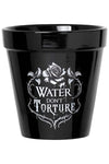 Alchemy Water Don't Torture Plant Pot | Angel Clothing
