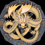 Anne Stokes Imbolc Dragon Wall Plaque | Angel Clothing