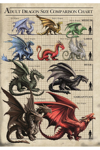 Anne Stokes Dragon Size Chart Greetings Card | Angel Clothing