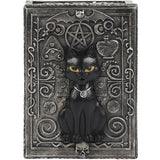 Black Cat Resin Box | Angel Clothing