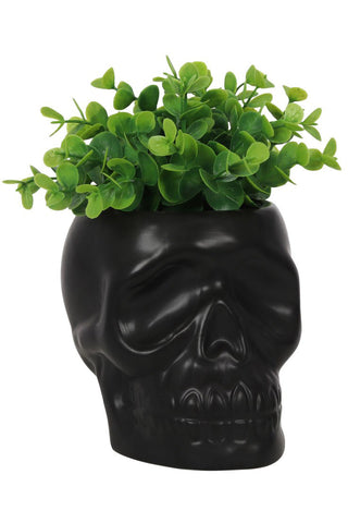 Black Skull Plant Pot | Angel Clothing