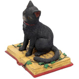 Eclipse Cat Spell Book Figurine | Angel Clothing