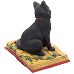 Eclipse Cat Spell Book Figurine | Angel Clothing
