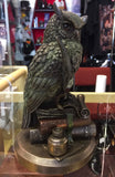 Ulula Bronze Academic Owl | Angel Clothing