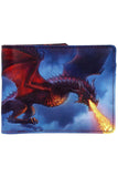 James Ryman Fire From The Sky Wallet | Angel Clothing