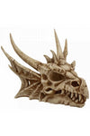 Lumo Lumiescent Dragon Skull with LED Lights | Angel Clothing