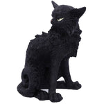 Salem Witches Cat | Angel Clothing