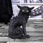 Salem Witches Cat | Angel Clothing