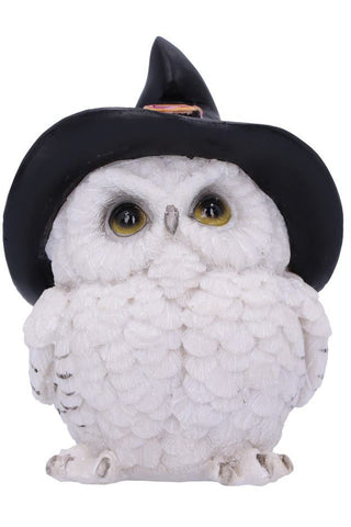 Snowy Spells Owl | Angel Clothing