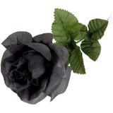 Alchemy Gothic Single Black Rose | Angel Clothing
