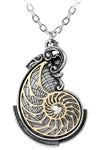 Alchemy Fibonaccis Golden Spiral Pendant | Angel Clothing