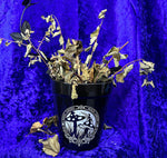 Alchemy Magic Garden Plant Pot | Angel Clothing