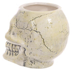 Ancient Skull Head Gothic Mug, Gift Boxed | Angel Clothing