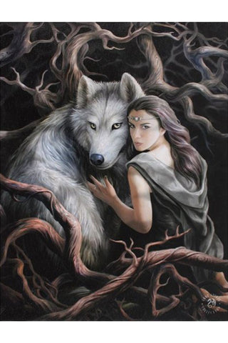 Anne Stokes Soul Bond Wall Picture | Angel Clothing