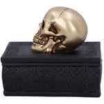 Celtic Opulence Skull Box | Angel Clothing