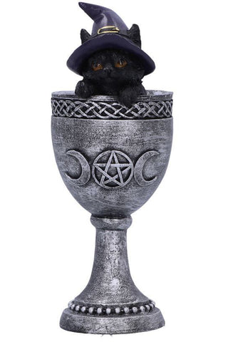 Coven Cup | Angel Clothing