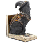 Purring Pioneer Steampunk Cat Bookend | Angel Clothing