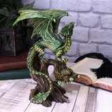 Anne Stokes Adult Forest Dragon | Angel Clothing