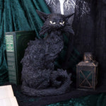 Salem Cat Statue 32.5 cm | Angel Clothing