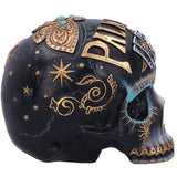 Destiny Palmistry Skull | Angel Clothing