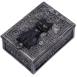 Familiar Spell Cat Box | Angel Clothing