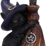 Familiars Broom Witches Cat | Angel Clothing