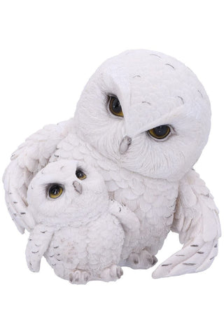 Feathered Guide Owls | Angel Clothing