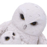 Feathered Guide Owls | Angel Clothing