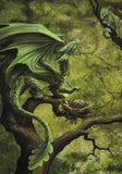 Anne Stokes Forest Dragon Card | Angel Clothing