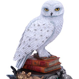 Harry Potter Hedwig Figurine | Angel Clothing