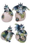 Hatchlings Emergence Dragons Set of 4 | Angel Clothing