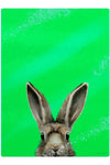 Inquisitive Creatures Hare Glass Chopping Board | Angel Clothing