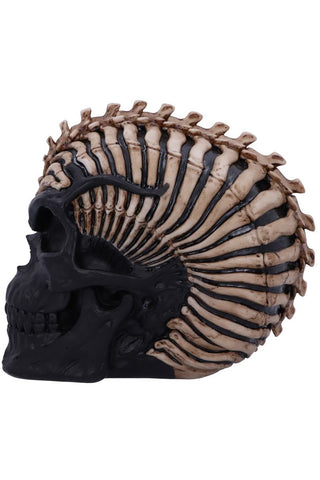 James Ryman Spine Head Skull | Angel Clothing